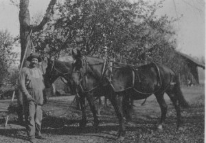 um 1910  